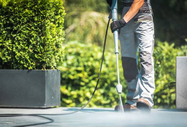 Best Patio and Deck Pressure Washing  in Flowery Branch, GA