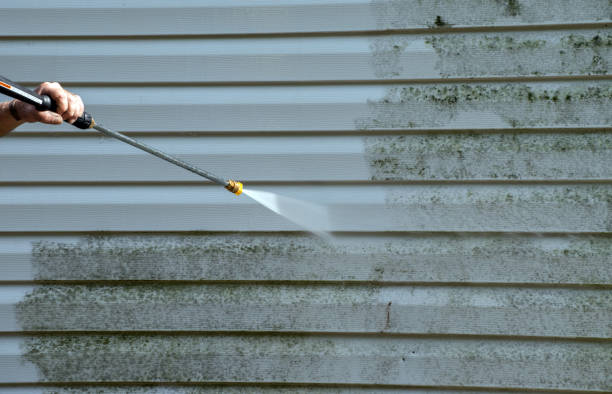 Best Roof Washing  in Flowery Branch, GA
