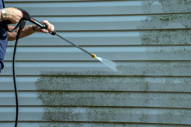 Trusted Flowery Branch, GA Pressure Washing Services Experts