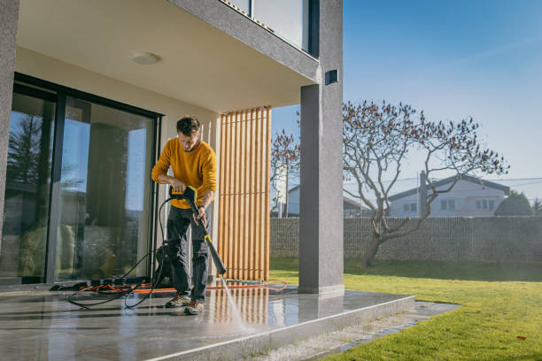 Best Pre-Holiday Cleaning  in Flowery Branch, GA