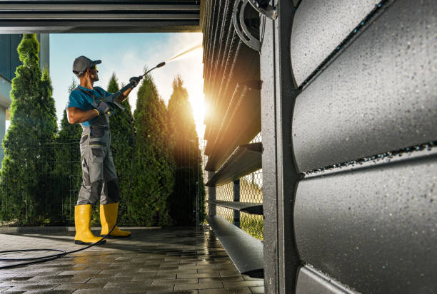 Animal Enclosure Cleaning in Flowery Branch, GA
